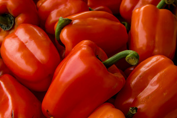 roter Paprika