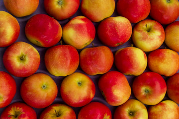 rote Äpfel