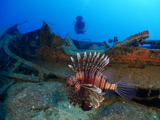 scuba divers exploring shipwreck scenery underwater ship wreck deep blue water ocean scenery of metal underwater and fish around