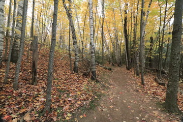 カナダのトロント近郊のモノクリフス州立公園　Mono Cliffs Provincial Parkの秋、紅葉