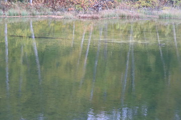 カナダのトロント近郊のモノクリフス州立公園　Mono Cliffs Provincial Parkの秋、紅葉
