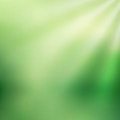 Abstract green blurred background with sunlight rays. Nature gradient backdrop. Vector illustration. Ecology concept for your graphic design, banner or poster.