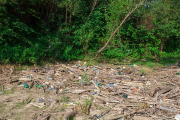 pollution with garbage or plastic waste in nature. forest scene