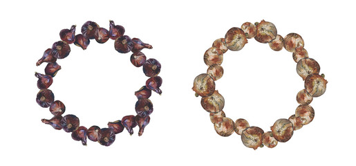 Set of two round frames of red and golden onion bulbs, isolated on white. Watercolour illustration. For harvest festival decorations, cards, invitations, menu, recipes, cookbook and packaging design.