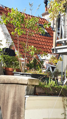 petite terrasse balcon aménagé sur toit maison ancienne