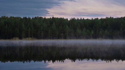 Fog on the lake in the northern forest. Spruce trees are reflected in the water