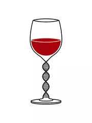 Foto op Canvas DNA Wein Design Glas Kultur Clipart Logo  © Style-o-Mat-Design