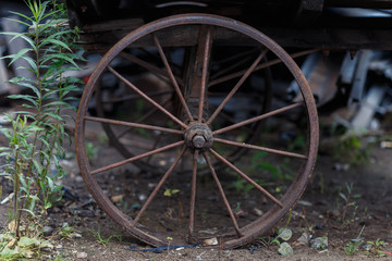 Fototapeta na wymiar the wheel of an old cart, taken on a cloudy day