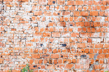 a fragment of a brick wall taken on a cloudy summer day