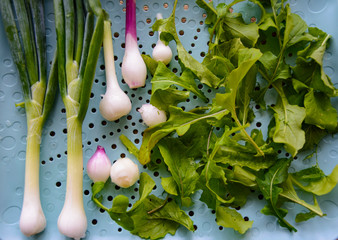 Vegetables in the kitchen prepared for salad onions and arugula.