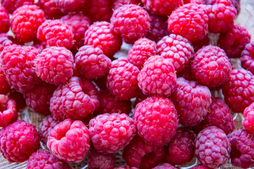 The healthy berries of ripe raspberries are prepared for consumption.