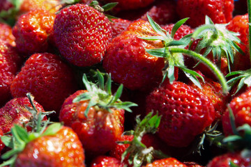 Strawberry background. Fresh red strawberries under the rays of the sun