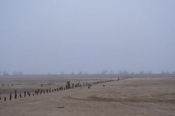 The bottom of a dried salt lake. Foggy morning. Remains of an old pier.
