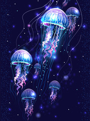 Glowing vivid transparent underwater jellyfishes © Viktoriia Protsak