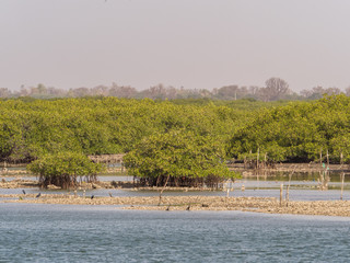 Senegal, Africa