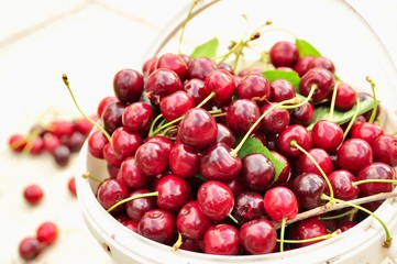 
Cherry harvest in June