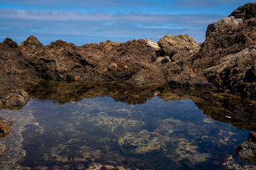 Tidepool at Redondo Beach