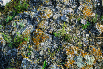 stone with red mold