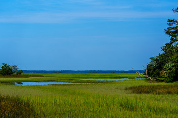 Seabrook Jenkin's Point Marsh View