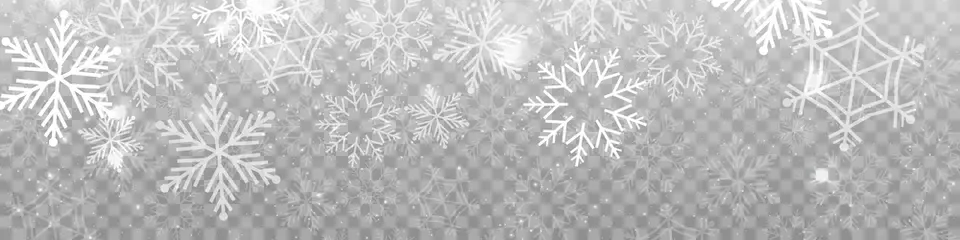 Fotobehang Vector heavy snowfall, snowflakes in different shapes and forms. Snow flakes, snow background. Falling Christmas © Vector light Studio
