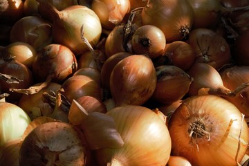 A box with a lot of white onions right after harvesting from the field of home garden.