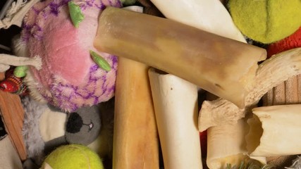 animal, antlers, background, bones, chew toys, close up, close-up, closeup, collection, different, display, dog, dog bones, floor, found, fun, handheld, hardwood, hollow bones, home, indoors, isolated - Powered by Adobe