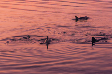 Seabrook Island North Beach Sunrise