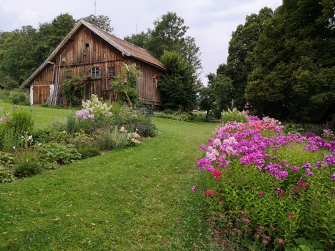 Sch&ouml;ner gr&uuml;ner Bauerngarten mit violetten Bl&uuml;ten und alter Scheune mit Holzfassade auf einem Bauernhof in Rudersau bei Rottenbuch im Pfaffenwinkel im Kreis Weilheim-Schongau in Oberbayern