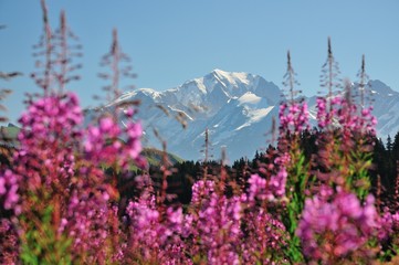 Massif du Mont Blanc, Haute Savoie, France