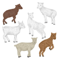 set of sheep and goat