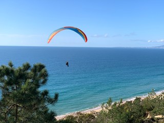 Beautiful colorful paragliding sail above a landscape with green pine tree, sand and green dunes vegetation under a beautiful blue sky in Fonte da Telha, Costa da Caparica, Portugal