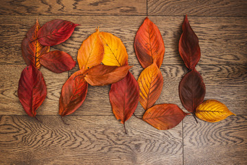Autumn leaves spell the word FALL; FALL written in orange and yellow leaves