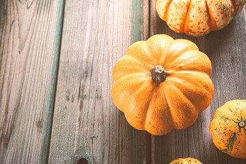 Overhead shot with autumn pumpkin thanksgiving background, assorted pumpkins over green wooden table. Copy space. Toned