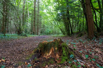 Ireland Nature, Sea and Landscape