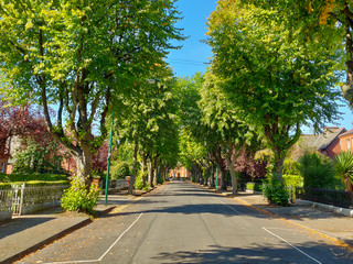 Ireland Nature, Sea and Landscape