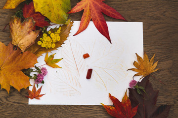 Childrens leaf rubbing with crayons and decorated with fall leaves; Autumn leaves and tansy...