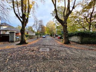 Ireland Nature, Sea and Landscape