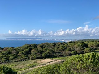 Beautiful landscape with green pine tree, sand and green dunes vegetation under a beautiful blue sky in Fonte da Telha, Costa da Caparica, Portugal