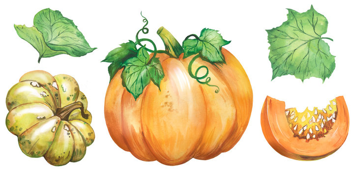Pumpkin Farm Drawing Images – Browse 847,313 Stock Photos, Vectors, and  Video | Adobe Stock