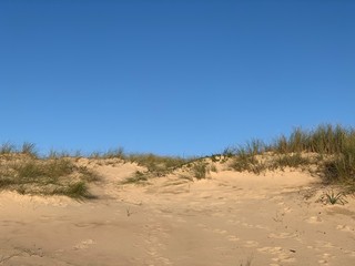 Fototapeta na wymiar Beautiful landscape with sand and dunes vegetation in Fonte da Telha, Portugal