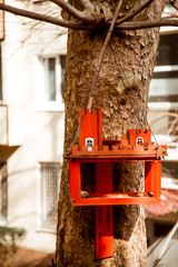 red bird feeder, in the form of a castle, hanging on a tree