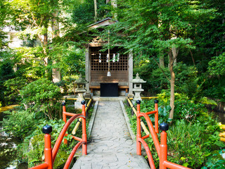 お鷹の道・真姿の池