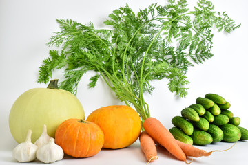 Autumn harvest. Vegetarianism. Healthy diet. Mature vegetables