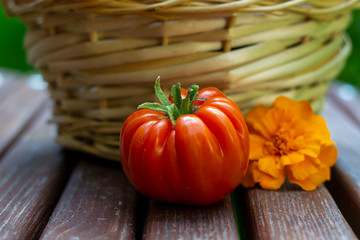 fresh vegetables on wooden table