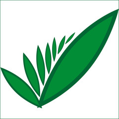 green leaves on little branches vector image