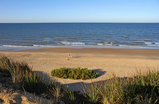 View of the Asperillo beach or Cuesta Maneli, in front of the Asperillo Cliff Natural Monument