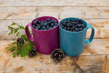 Fototapeta na wymiar Two mugs full of juicy blueberries stand on a wooden table in the forest or in the countryside