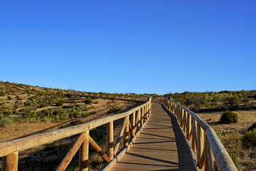 Fototapeta na wymiar Sendero de Cuesta Maneli over the sand dunes in the natural park of Donana, southern Spain, Andalusia, Europe
