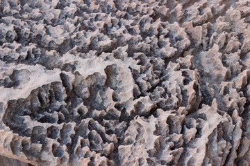 Odd pockmarked grey rock in Arizona.