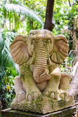 Ubud on the isle of Bali in Indonesia, the town is famous for the monks forest